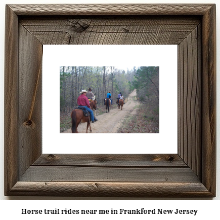 horse trail rides near me in Frankford, New Jersey